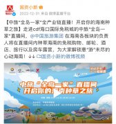 领略意游未尽的海南 中国旅游集团“全岛一家”