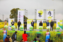 松阳赤寿：徜徉油菜花海，静享乡村慢生活